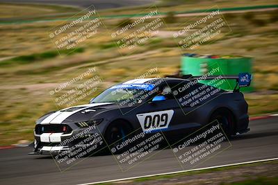 media/Feb-25-2024-Speed Ventures (Sun) [[b9a2a97a4d]]/Mustang Drivers Club/Session 2 (Turn 6)/